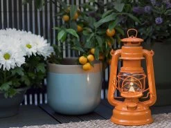 Feuerhand Baby Special 276 Pastel Orange Stormlamp 4 Feuerhand Baby Special 276 Pastel Orange Stormlamp -Wildernis Kampeer Winkel feuerhand stormlamp oranje 3 ecommerce 254d
