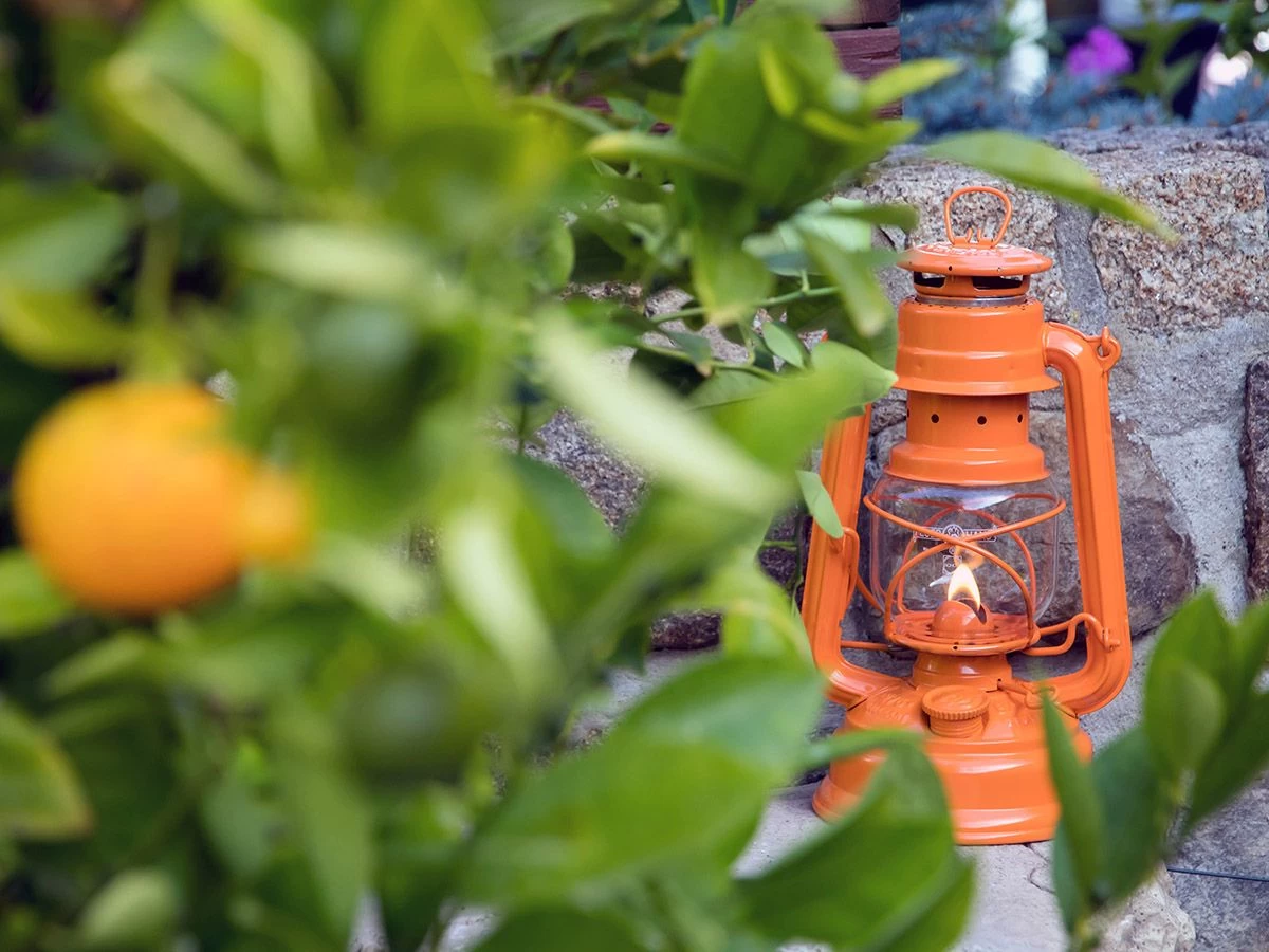 Feuerhand Baby Special 276 Pastel Orange stormlamp Feuerhand Baby Special 276 Pastel Orange Stormlamp -Wildernis Kampeer Winkel feuerhand stormlamp oranje 4 ecommerce 7f8f