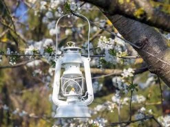 Feuerhand Baby Special 276 Pure White Stormlamp 5 Feuerhand Baby Special 276 Pure White Stormlamp -Wildernis Kampeer Winkel feuerhand stormlamp wit 3 ecommerce 5631