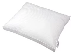 Polydaun Jasmijn Kussen